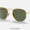 zeshoekig titanium gepolijst goud/groen XX46DZ1406 Heren Ray-Ban zonnebril